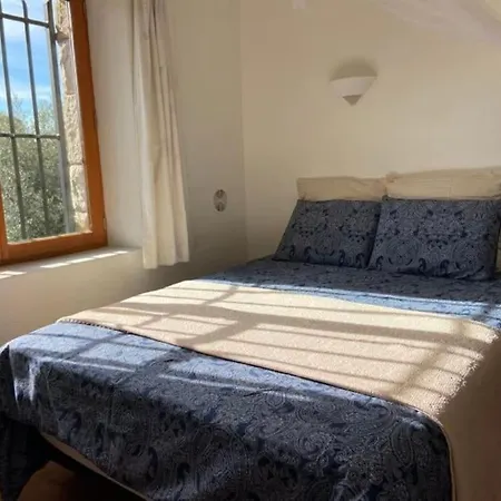 Bright Apartment Close To The Village Tourrettes-sur-Loup Exterior photo